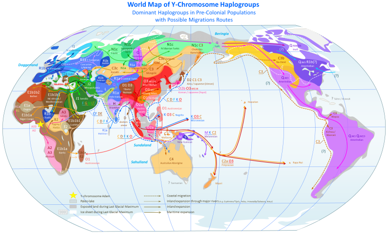 File:World Map of Y-DNA Haplogroups.png